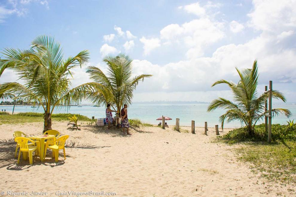 Imagem de mesa próximo a pequenos coqueiros para turistas na Ilha de Itaparica.